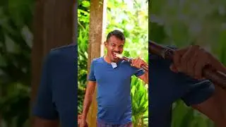 ASMR Sugarcane Eating &ndash; Pure Village Vibes 🌿👂