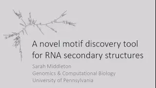 DOE CSGF 2016: A Novel Motif Discovery Tool for RNA Secondary Structures