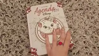 Art-Th&eacute;rapie Adultes: Agenda Disney 2020 d'Hachette Heroes