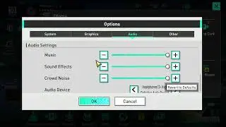 SEGA FOOTBALL CLUB CHAMPIONS How to CHange Sound or Audio Settings