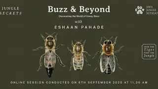 Buzz Beyond | Part 1: The World of Honeybees & Their Incredible Social Order with Eshaan Pahade