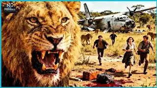 Plane Crash Ke Baad Bhookhe Sheron Ka Shikar-PREY (2024) Movie Explained in Hindi/Urdu | PART 2