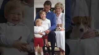 #royalfamily #princessdianaquotes #royal #royalfamilyuk #royalfamilies #ukroyalshorts#katewilliam