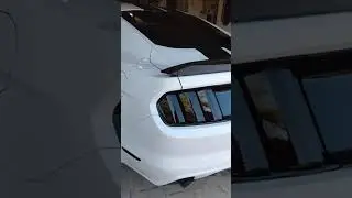 New AmericanMuscle Graphics Smoked Tail Light Tint Kit