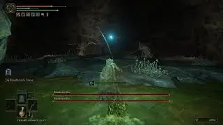 ELDEN RING Kindred of Rot Boss Fight
