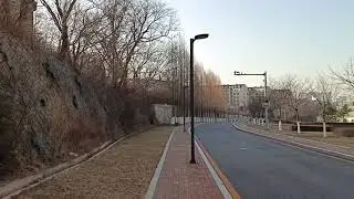 Morning Walk at Dalian University of Technology | Beauty & Serenity at Dawn