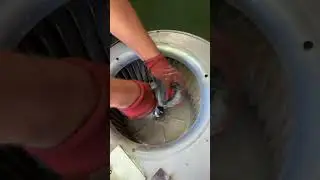 Dive into the Blower Motor Cleaning Process with Us!