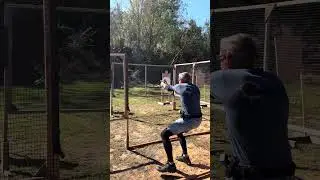 Glock 47 in the wild