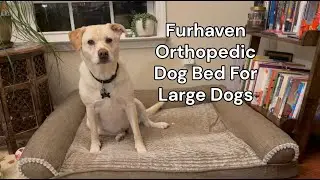 Furhaven Orthopedic Dog Bed for Large Dogs, Product Review by Lily
