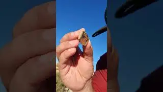 QLD/NSW Fossicking for beginners by a beginner - Yowah