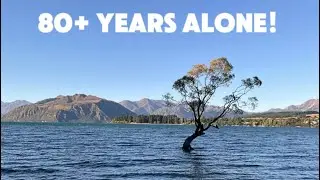 UNCUT NEW ZEALAND FOOTAGE | WANAKA TREE LAKE VIEW | REAL NATURE,NO MUSIC, RAW AND RELAXING
