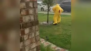Chicken Dance in the rain!
