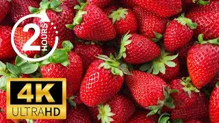 Strawberry Fruits 4K Wallpaper For PC (No Sound), perfect for studying, meditation, working, 2 Hours