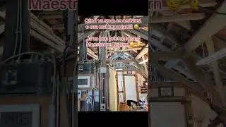 AERISIRE / VENTILAȚIE Crescătorie porumbei MAESTRU REGIONAL GERMANIA . 100%