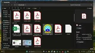 pii detect app || Privacy Sherlock || Case Study