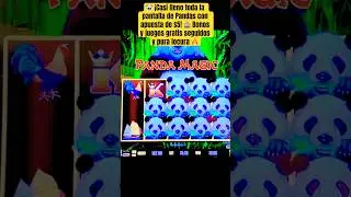 🐼 &iexcl;Casi lleno toda la pantalla de Pandas con apuesta de $5! 🎰 Bonos y juegos gratis seguidos #slot