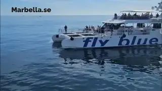 Fly Blue Catamaran Yacht - Marbella to Puerto Banus by boat