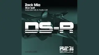 Silver Spirit (Extended Mix)