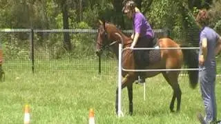 Bad Fall Off Horse!!!