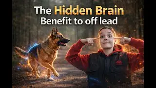 Why Off-Lead Time is ESSENTIAL for Your Reactive Dog (The Hidden Brain Benefit!)