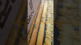 1.19.22 Michigan Honey Bee Hive Check 3