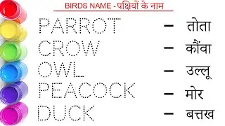 पक्षियों के नाम || Birds name in hindi and english || Birds Name || study centre