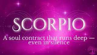 SCORPIO ♏️ No Contact / No Communication — A Soul Contract That Runs Deep | Timeless Tarot Reading