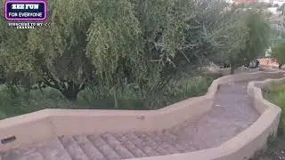Peaceful Green Surroundings | Nature Abbience for Relaxation [Calm Moments in Natural Environment]