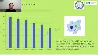 Biological properties of transgenic hairy roots of Plectranthus venteri van Jaarsv. & L. Hankey2024