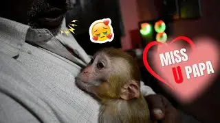 Gori  पापा के बिना नहीं रह सकती