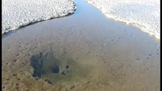 Les sources du Lac de Bambois