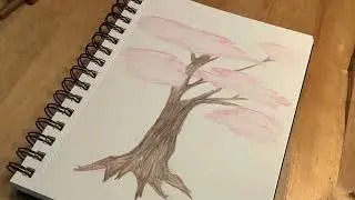 Drawing a blossom tree-by Tank