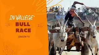 Bull Race In  Village 2022 Final Pair ||BAZM T V ||
