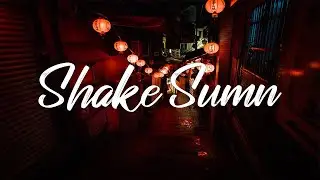 Rajan Sahota - Shake Sumn Ft. Aaron Le (Lyrics)