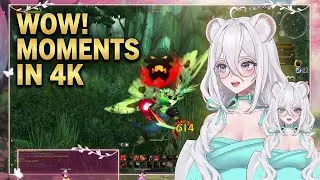2026/01/14 4K VOD: Just some random WoW Game Play!!!