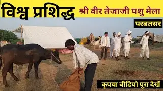 विश्व प्रशिद्ध पशु मेला - परबतसर || श्री वीर तेजाजी पशु मेला || मेले की कुछ झलकियाँ || #parbatsar