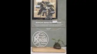 Обзор выставки бонсай и пенцзин 