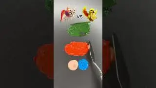 Colored brains Guess mixed colors #satisfying #colormixingmagic #satisfying #funny #rainbowhouse