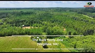 41+/- Wooded Acres with Cabin For Sale in Halifax County, VA - Justin Rolfe, Mossy Oak Properties
