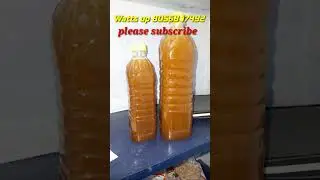 Collecting wild honey🍯//wild honey harvest🍯//pure honey🍯//honey harvest 🍯🐝//muthu natural honey farm