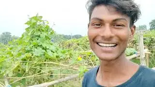 Vlog 18 😊  bihar village vlog || village life in bihar