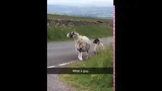 Asking the local population for directions