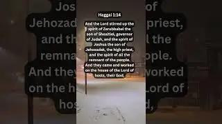 Jesus Saves | Haggai 1:14 Daily Bible Verse
