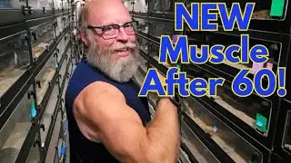 Grow Muscle after 60.