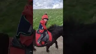 Shetland hacking!