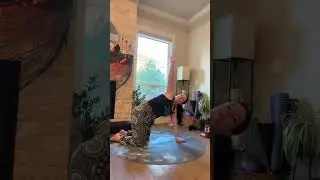 Beginner-Friendly Sun Salutations | Birthday Flow & Gratitude Practice
