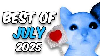 NASHIRANKS BEST OF JULY! (2025)