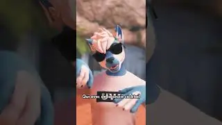 JIMS - Fricadelle (Parodie #GIMS) #parodie #music #humour #tiktok #fran&ccedil;ais #tendance #vrchat