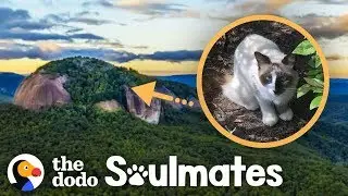 Couple Rescues Cat Stranded On Mountaintop | The Dodo Soulmates