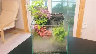 Making an Aqua Terrarium with a Mist Maker